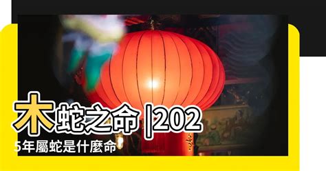 1981年五行屬什麼|【1981年五行屬什麼】速解1981年出生者生肖雞命運，一文揭曉。